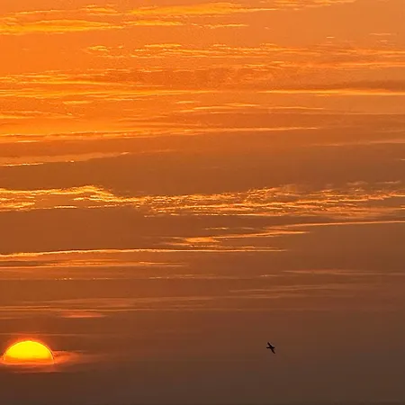 Salitre * 푸에르토 델 카르멘