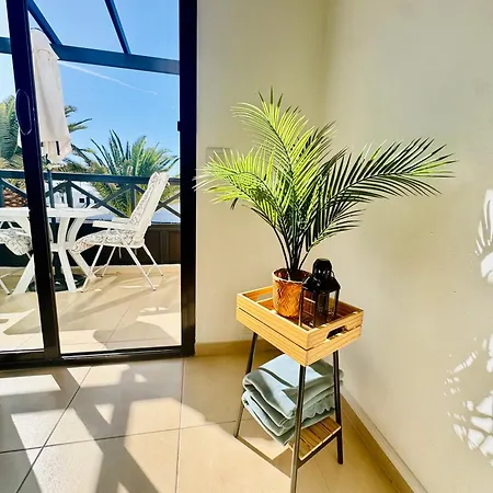 Salitre * 푸에르토 델 카르멘