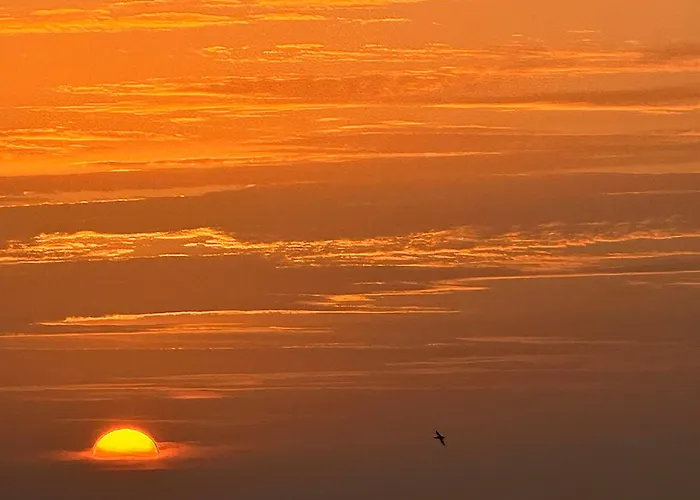 Salitre * Puerto del Carmen (Lanzarote)